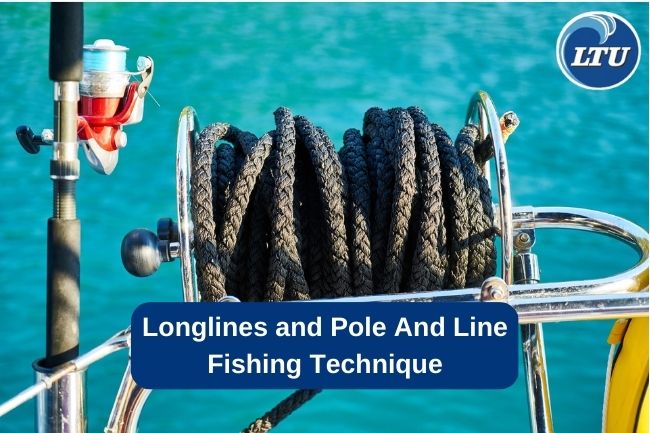 Longlines and Pole And Line Fishing Technique